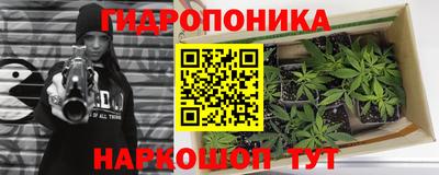 мет Новозыбков