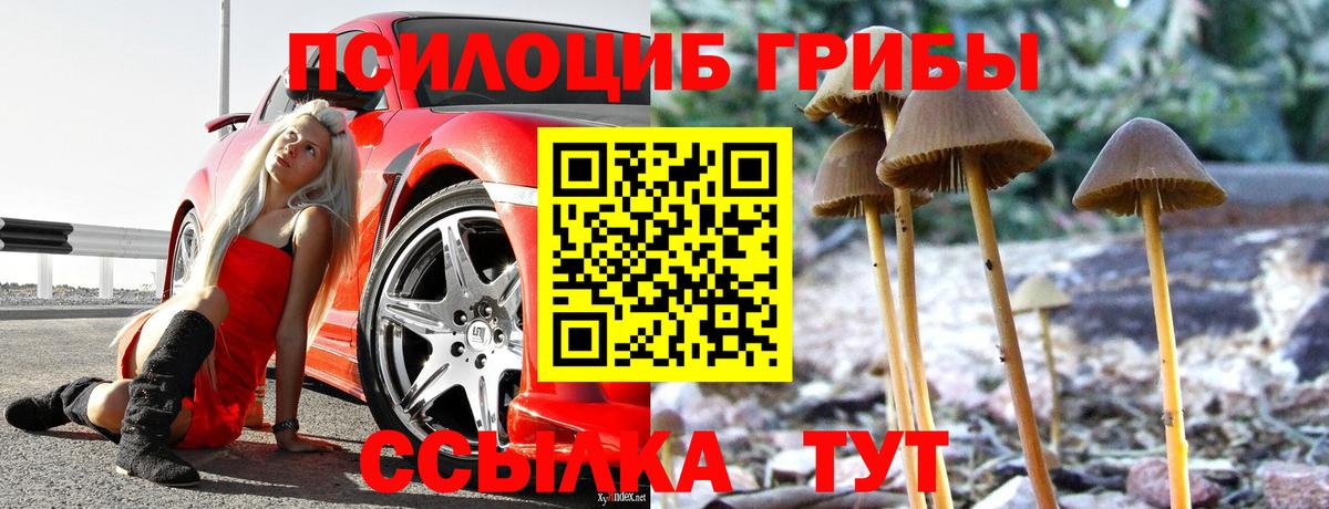 Галлюциногенные грибы MAGIC MUSHROOMS Рыбинск