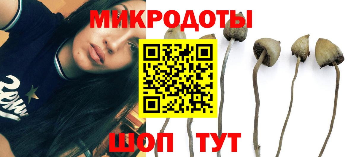 Галлюциногенные грибы Cubensis  Псилоцибиновые грибы MAGIC MUSHROOMS  Вход с VPN  где купить наркоту  Рыбинск 
